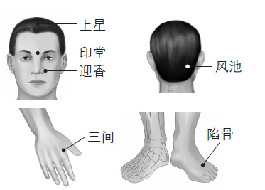 鼻塞、打鼾等鼻子問題的防治